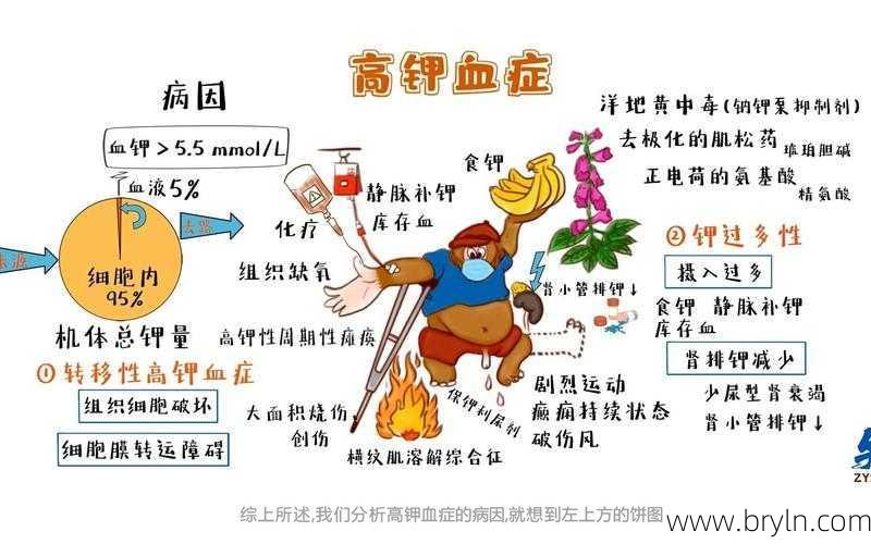 肾不好,千万多关注血钾!超过这个数,危及生命