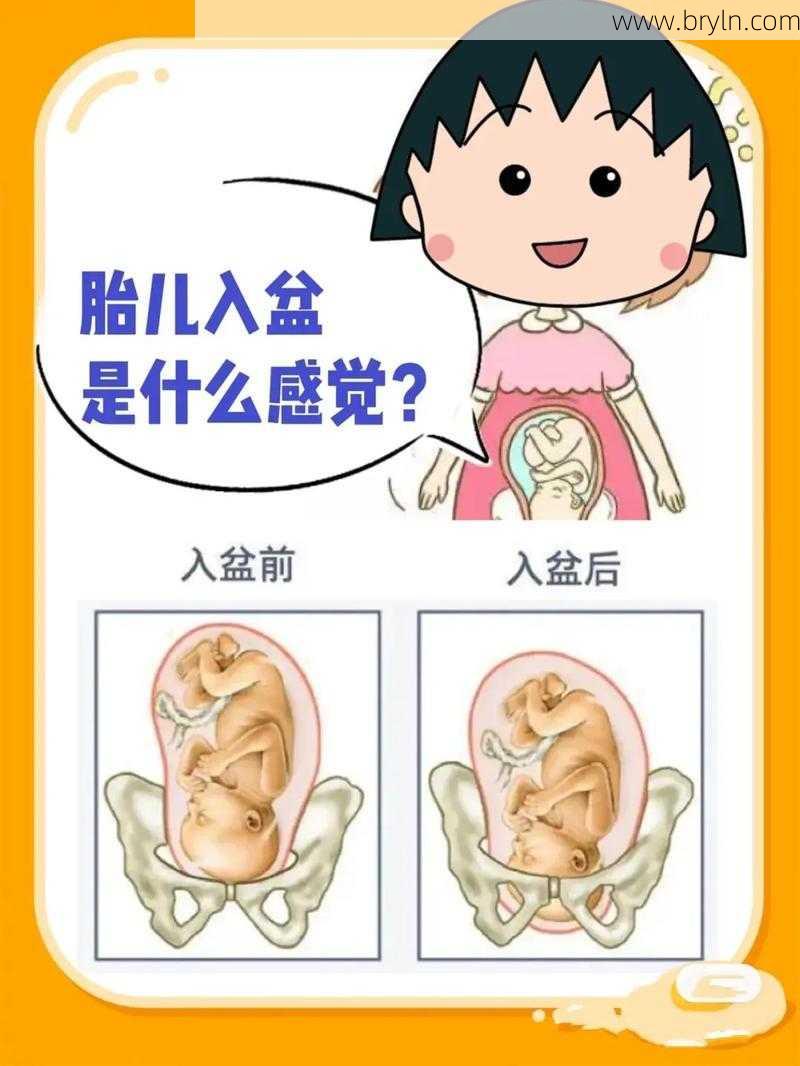 入盆的感觉和症状(胎儿入盆是什么感觉?)