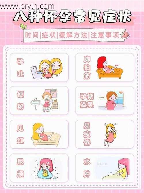 怀孕的特征(怀孕的征兆有哪些?当身体出现这6种信号,恭喜你怀孕了)