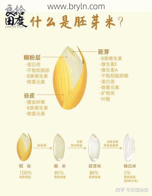 胚芽是什么(什么是胚芽米,胚芽米含有哪些营养,和糙米、白米有什么区别)