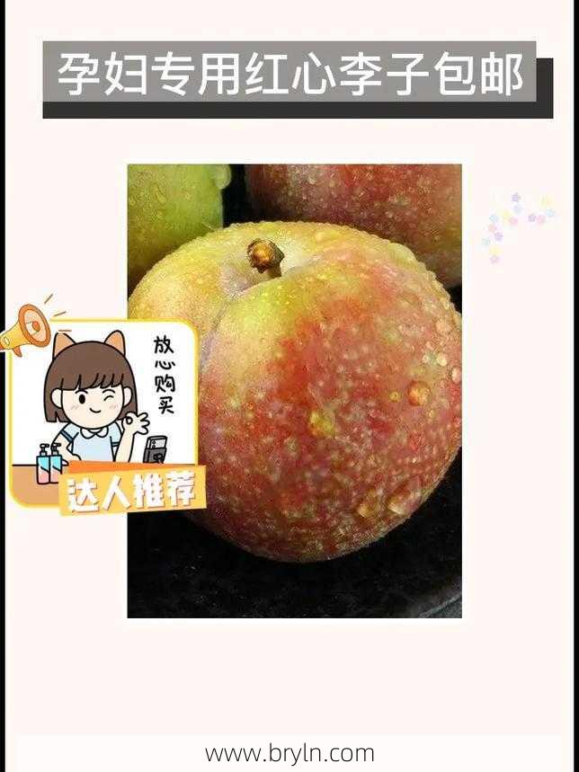 李子孕妇能吃吗(孕妇能吃李子吗?)