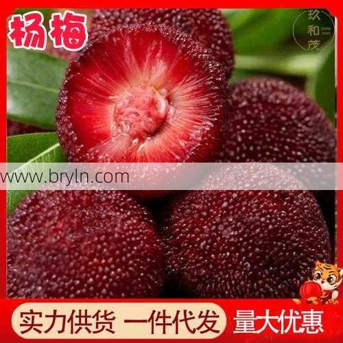 杨梅热量高吗(杨梅季来袭!营养师说:热量低,营养高,它是减肥人士福音)