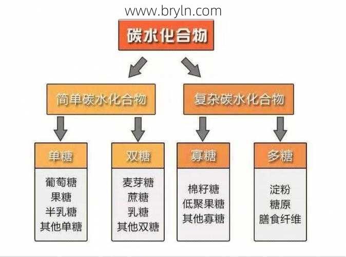 碳水化合物的作用(日常生活中的碳水化合物作用)