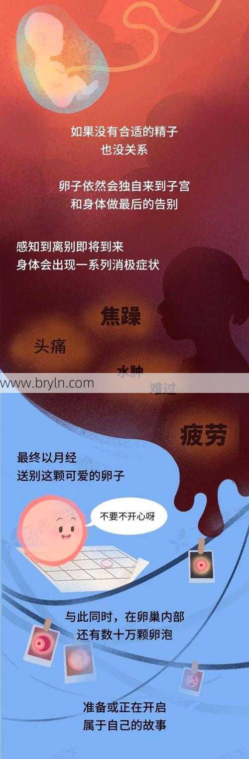 月经周期短(月经周期越短,衰老速度越快吗?)