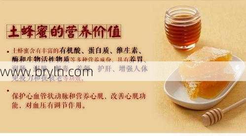 土蜂蜜的功效(土蜂蜜有什么好处?细说土蜂蜜的本质)
