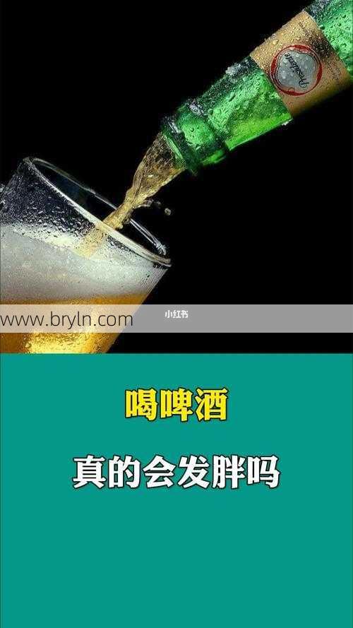喝啤酒会发胖吗(为什么我们常说喝啤酒容易发胖?)