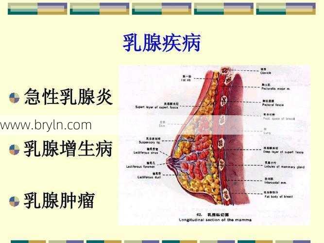 中医解读,乳腺病原来是这样的