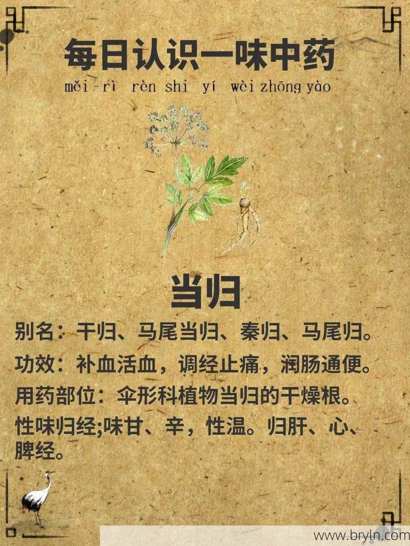 血当归(中药故事 · 血药不容舍「当归」)