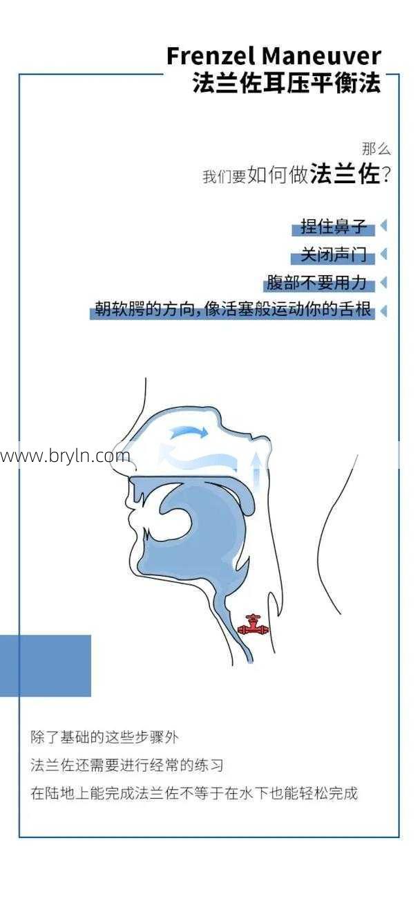 潜水知识 | 耳压平衡技巧