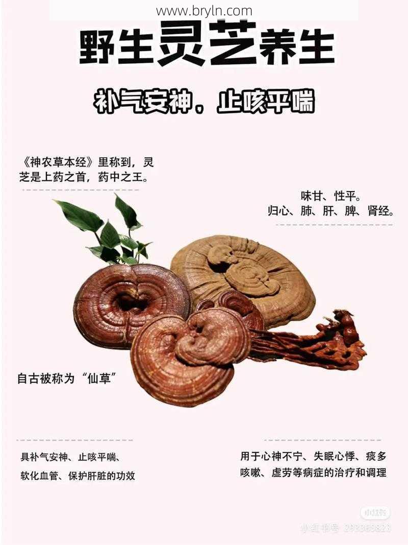 灵芝孢子粉的吃法(灵芝孢子粉的功效 灵芝孢子粉的食用方法)