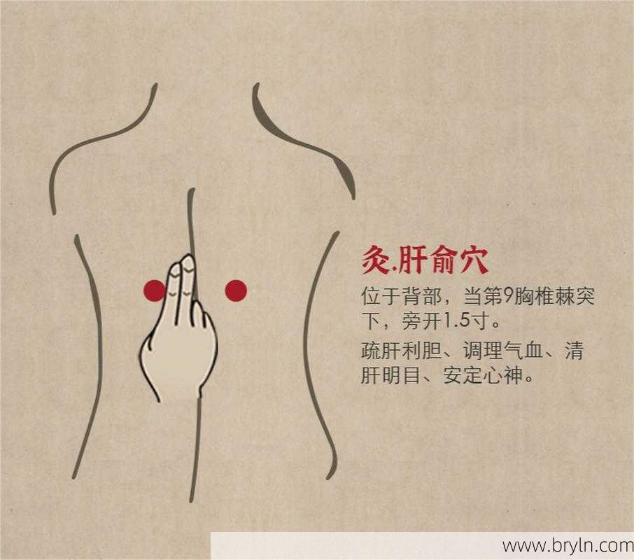 肝俞穴:疏肝泄胆,平肝息风,调肝明目