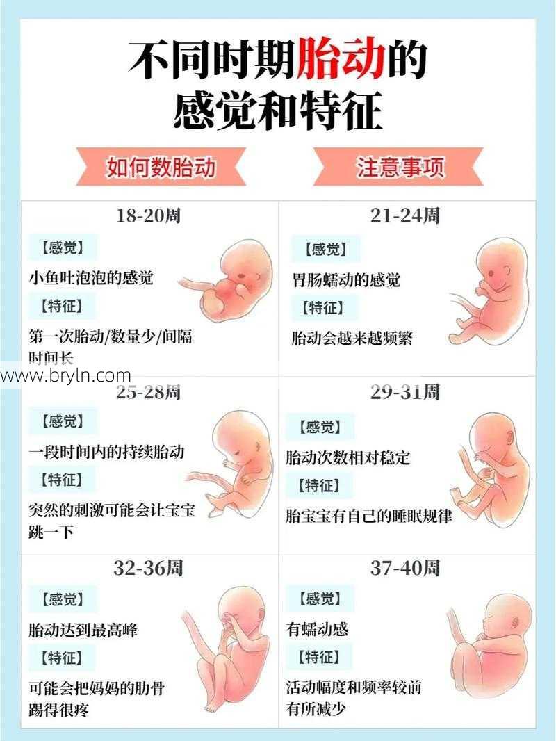 胎动多少次算正常(胎动多少次正常)