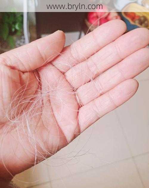 白发会越拔越多吗()