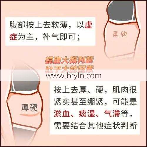 撑大肚子(身体好不好，一摸三看就知道！只需一招，拔出湿气、甩掉大肚子)