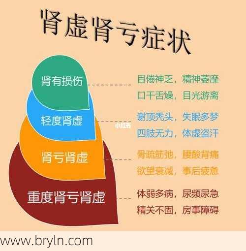 肾亏是什么意思()