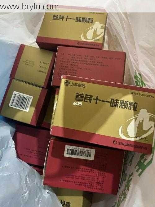 参芪十一味颗粒()