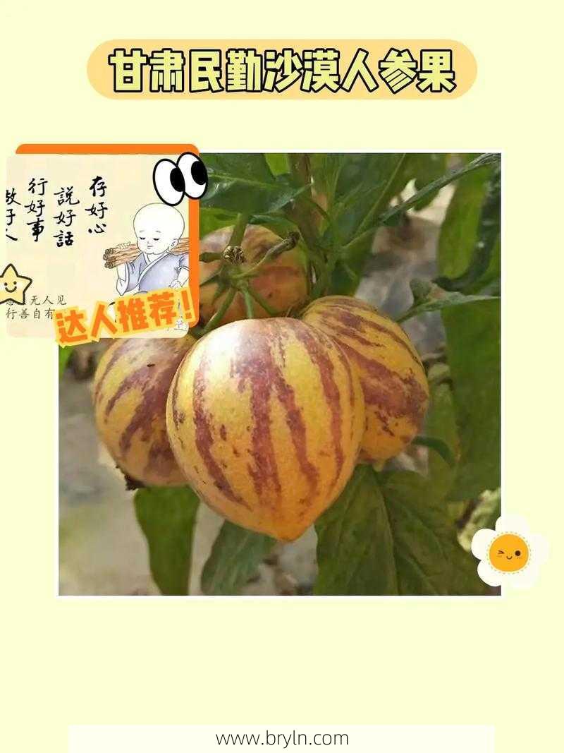 人参果的营养价值()