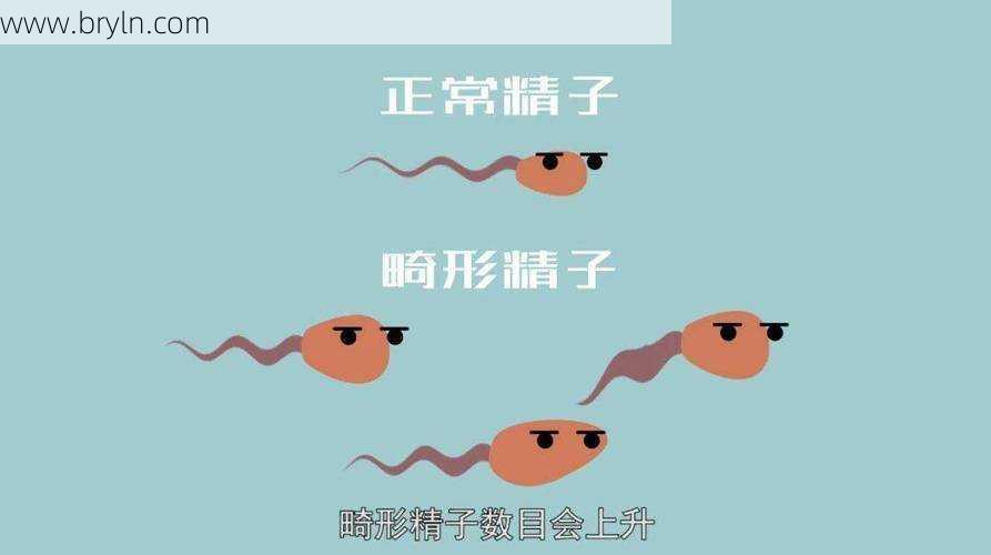 吃精子会不会怀孕()