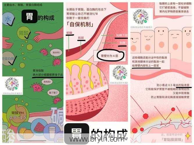 胃酸过多的原因()