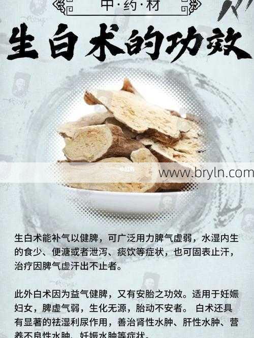 白术作用与功效(“白术”,剂量大小对其功效的影响)