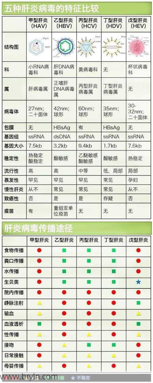 病毒性肝炎症状(病毒性肝炎知多少?一起了解更多知识点)