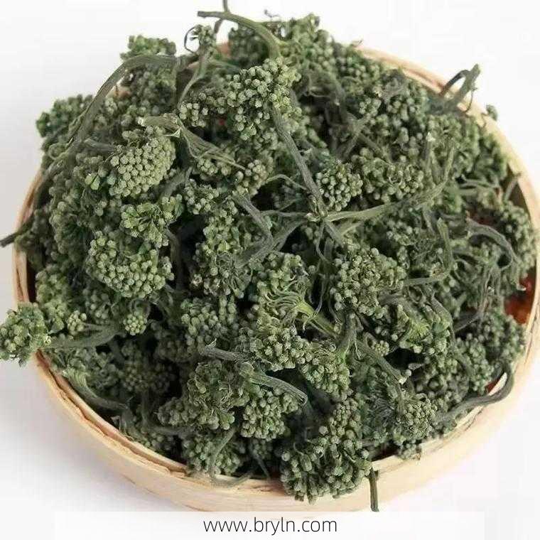 人参花的功效(人参花竟有如此神奇的功效!)