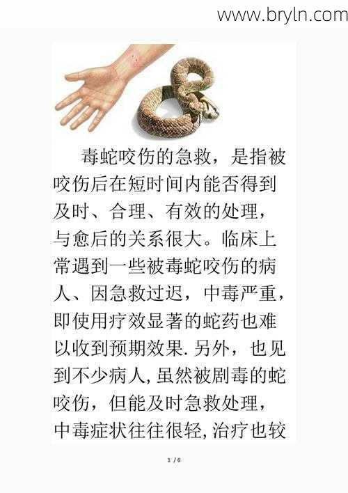 被蛇咬到怎么办?不要慌!4件事,关键时刻不要忘