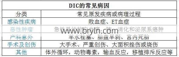 dic是什么意思()