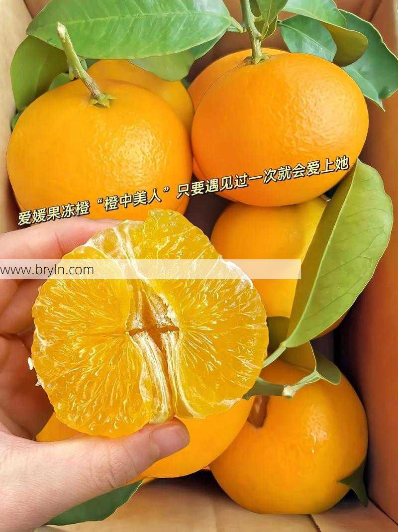 孕妇可以吃橘子吗()