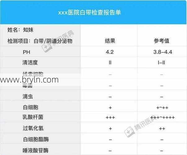 尿白细胞阳性(1分钟教你看孕检的尿常规检查报告)