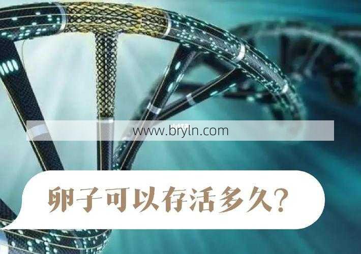 卵子能存活多久(卵子存活时间大概是多久呢?)