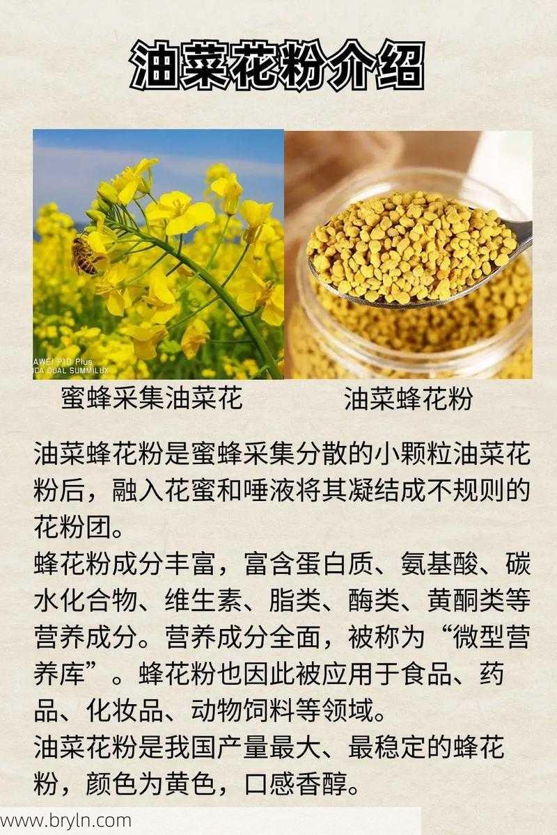 蜂花粉有假的吗?蜂花粉的作用与功效?