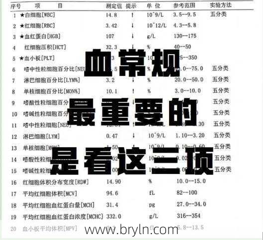 血常规最重要三项(血常规里这三项指标至关重要！能直接反映你的身体健康...)