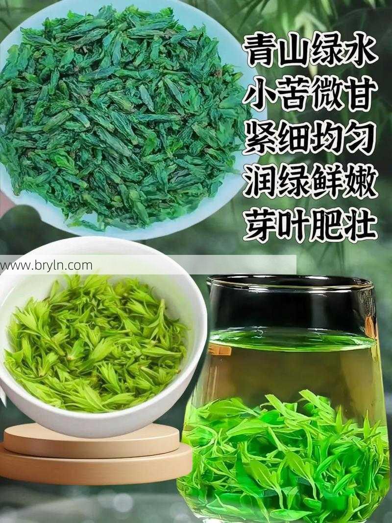 苦丁茶的作用()