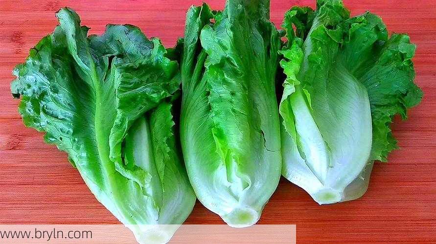 生菜生吃(生吃生菜像吃草，稍微加工一下，有滋有味，多吃也能健康瘦)