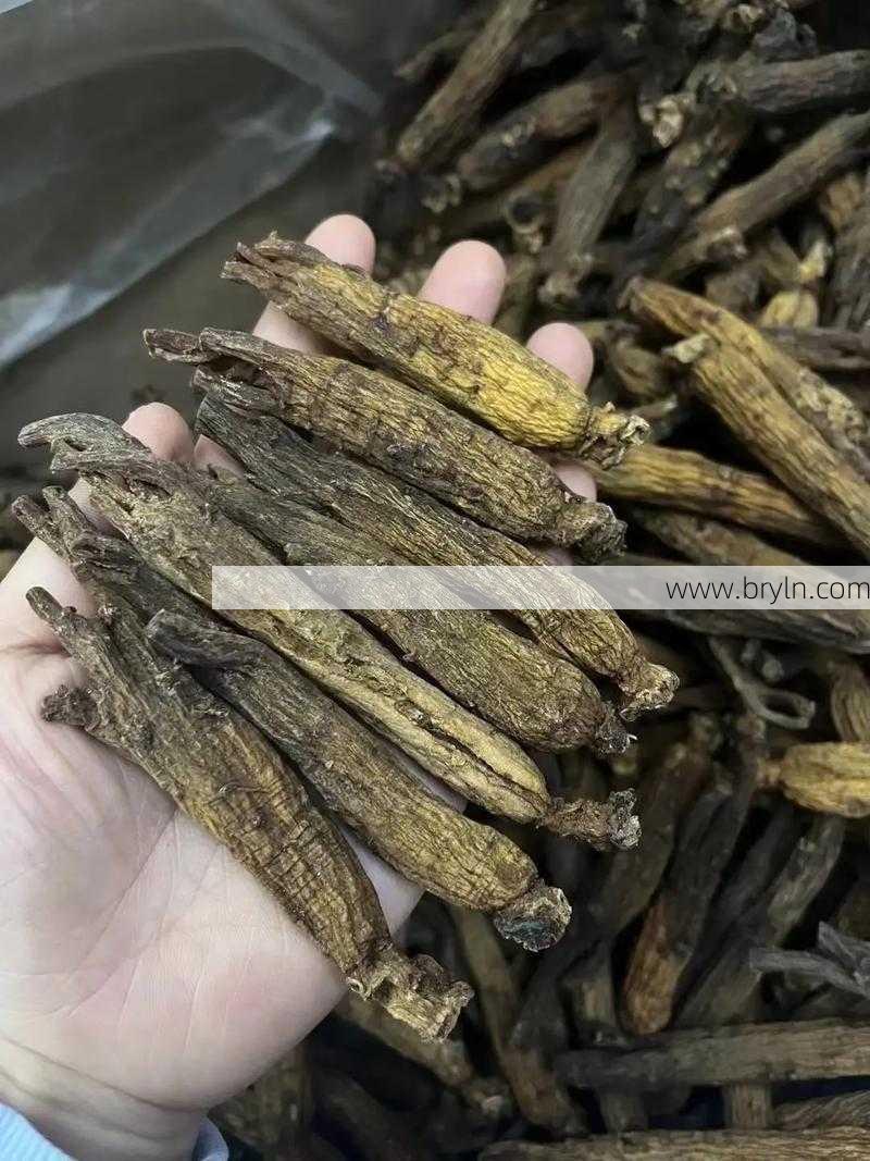 高丽参怎么吃()