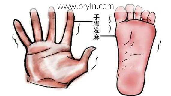 脚麻木是什么原因(脚发麻是什么原因？)