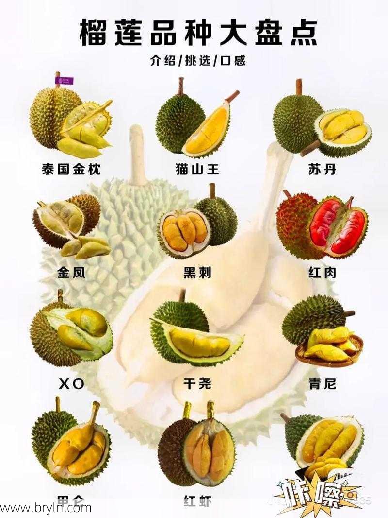 吃榴莲上火吗(榴莲吃多了会上火？这5种水果吃多了，人体也会“冒火”)
