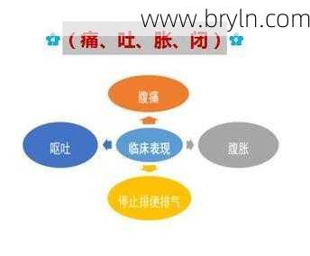恶心、呕吐、腹痛，小肠梗阻了怎么办？和大肠梗阻比哪个更严重