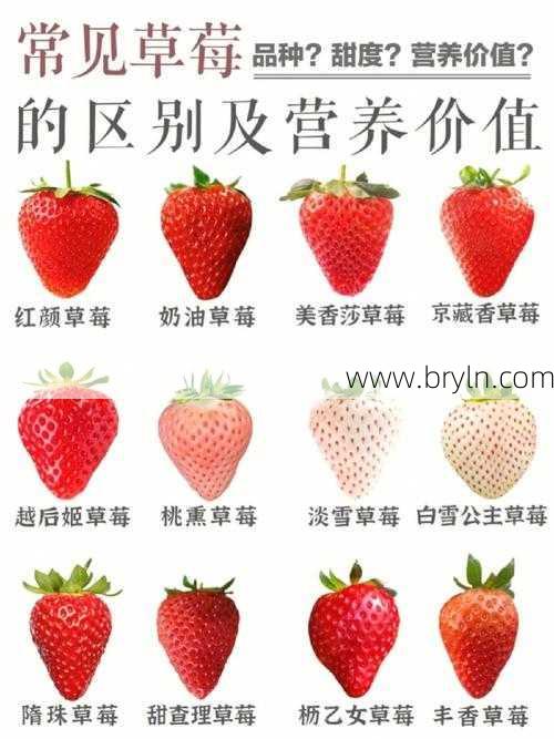 孕妇可以吃草莓吗？草莓再好，孕妈吃草莓也请注意2点,不然别吃