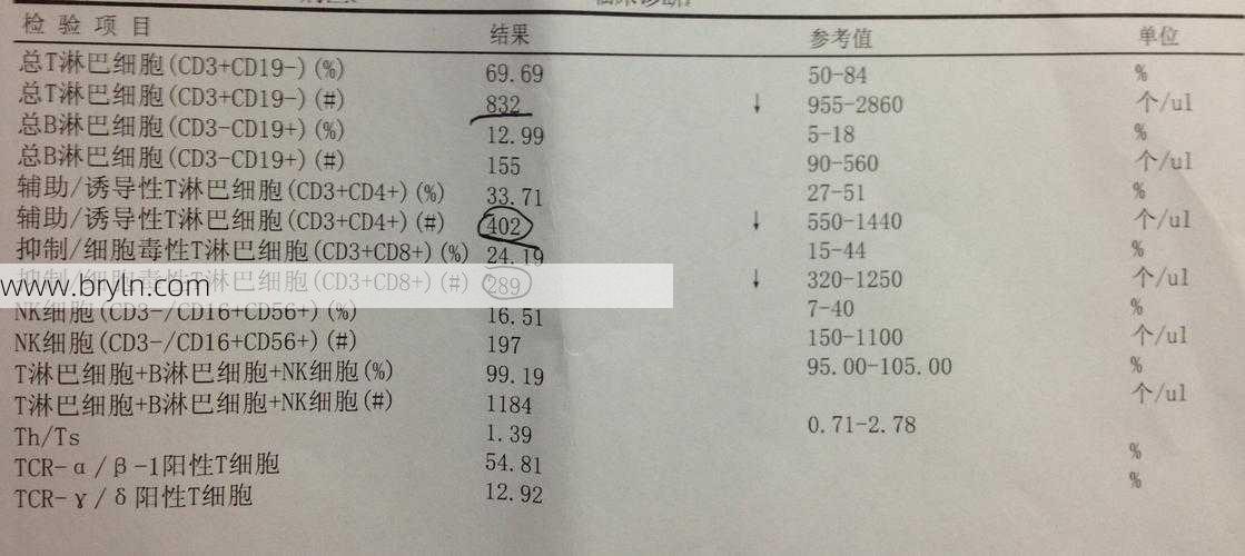 淋巴细胞偏低(认识一下淋巴细胞)