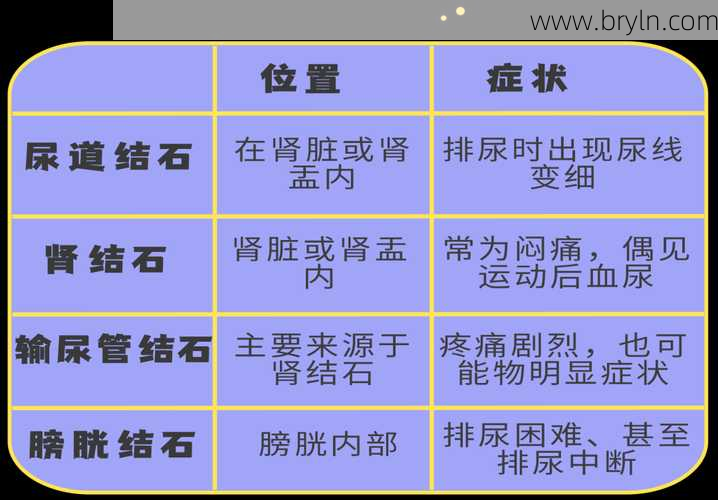 膀胱结石症状有哪些