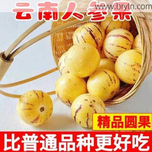 人参果营养价值(人参果的经济产地以及它的营养价值和健康功效有哪些？)