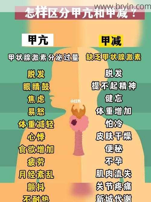 甲减和甲亢的区别()