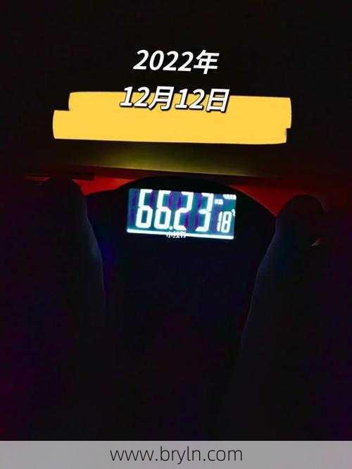 二十天()