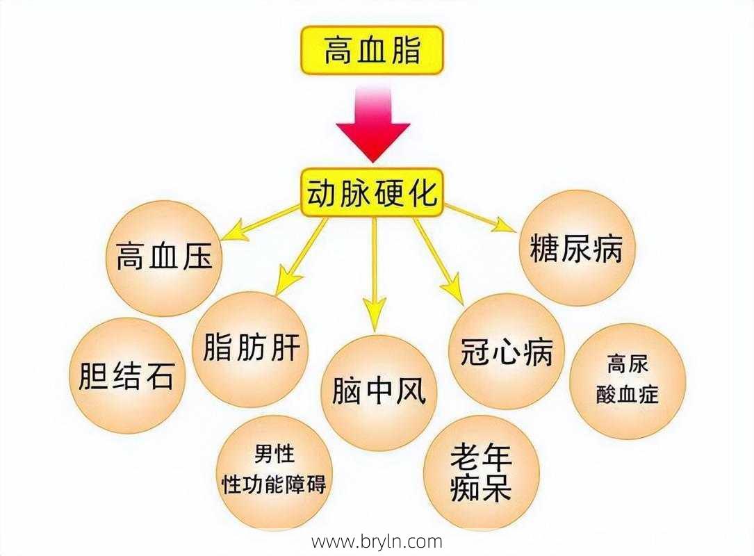 三油甘脂高(甘油三酯高怎么回事？做到这3点，有效降低甘油三酯)
