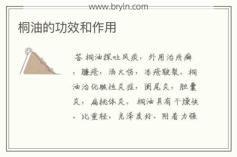 桐油的作用及应用领域介绍
