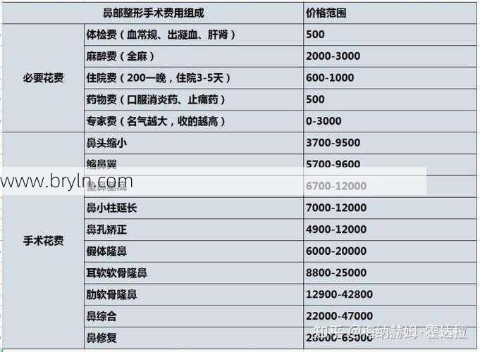 做鼻子多少钱()