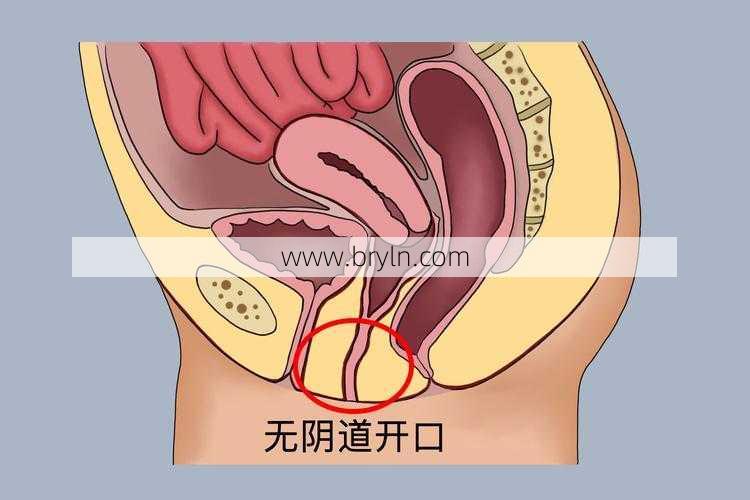 石女什么样(什么样的女性被称之为“石女”？她们和正常女性比，有何不同？)