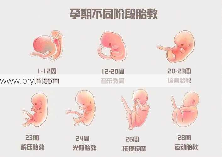 什么时候开始胎教